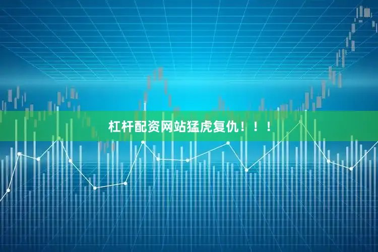 杠杆配资网站猛虎复仇！！！