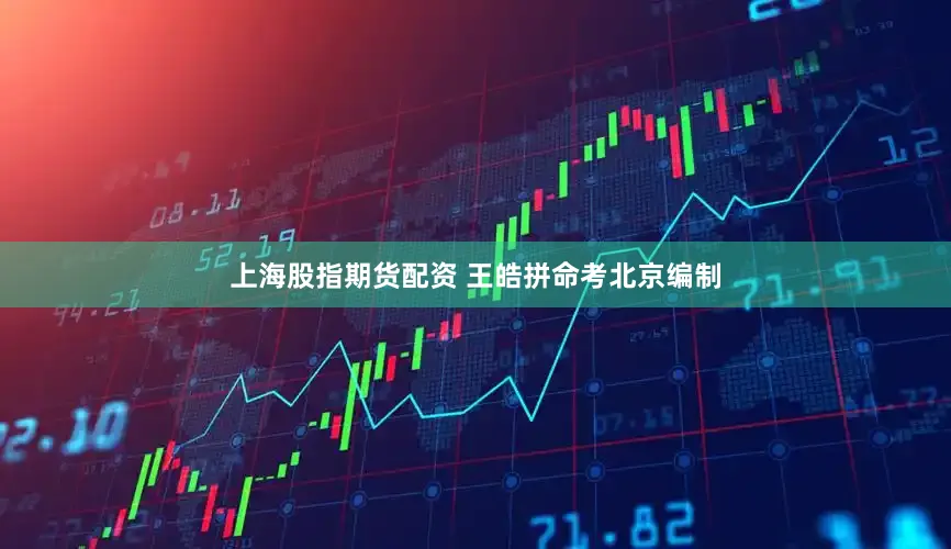 上海股指期货配资 王皓拼命考北京编制